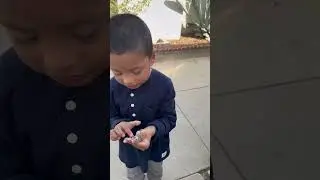 Jeremy Finds Blue Belly Lizard Outside!! #shorts #kids #lizard