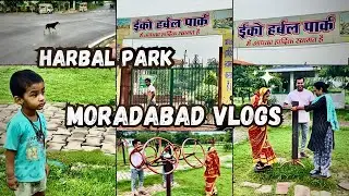 Harbal park Moradabad vlogs 🌳🌲🎄 #vlogs
