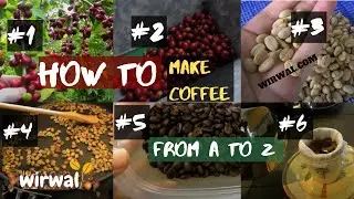 How to: Make perfect cup coffee | picking, Roasting...and finally Enjoy the taste