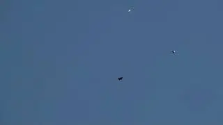 полеты перед рождеством