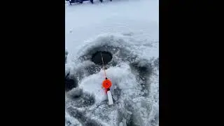Второй зимний выезд на рыбалку #рыбалка #природа #рыба #fishing #озеро
