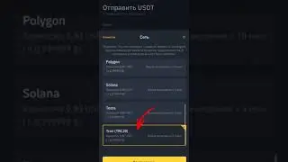 Как пополнить депозит в Муму пет,MuMu pet