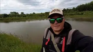ГОЛАВЛЬ В ИЮНЕ