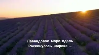 Лавандовое море ...