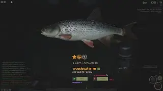Fisher Online : Каспий. Кутум, мировой рекорд.