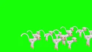 MONKEY GREEN SCREEN STAMPEDE 