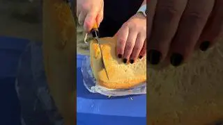 20 августа 2024 г.