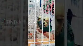 Так, кого ещё с вами мы сегодня не обосрали?