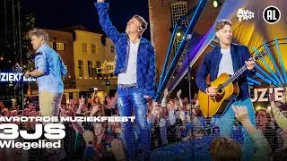 3JS - Wiegelied (LIVE) • Muziekfeest op het Plein 2024 // Sterren NL