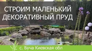 We are building a small decorative pond with carp.