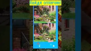 НАЙДИ ОТЛИЧИЯ НА ЭТОЙ КАРТИНКЕ! 