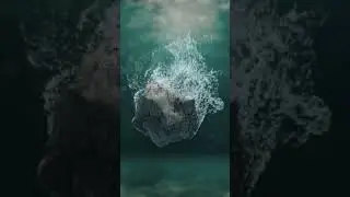 Fizz 