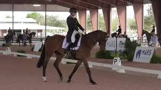 Phillip Dutton & Z CCI 5 Star Dressage