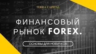 Что такое финансовый рынок форекс? Информация для новичков.