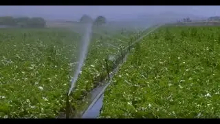 The Deans List: We Can Conserve California’s Water. But Will We Do It?