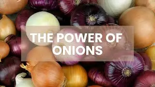 The Power of Onions: Cooking’s Secret Weapon
