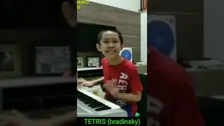 TETRIS BRADINSKY SONG