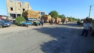 Гурлан ут бозори 4 июнь 2023