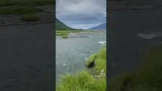 I could not believe the beauty of this place! #shorts #naturelovers