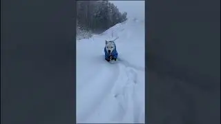 Навсегда в моем сердце…💔