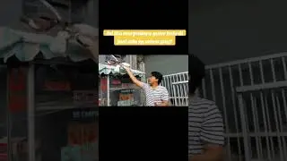 kiw kiw cinta segitiga #fypシ゚viral #kenwood #merpatikolong  #viralshorts