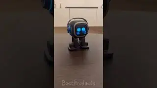 Can an Emo Robot Make You Fall in Love?  Let's Fall in Love for the Night | Emotional Song Cover