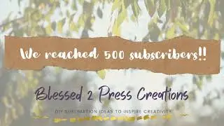 WE HIT 500 SUBSCRIBERS THANK YOU SO SO MUCH!!