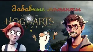Забавки #14 Hogwarts Legacy
