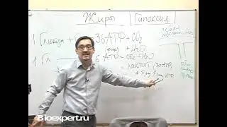 Тяга к сладкому и синдром хронической усталости