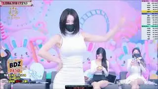Korean Panda Live kbj 
