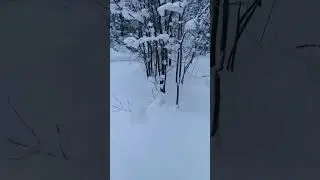 Camru 3.5 -Кашин Покатушки, Байкальск....