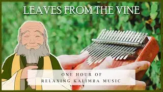 【1 HOUR】Leaves from The Vine Relaxing Kalimba Cover for Sleeping & Tearbending