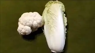 Капуста Цветная и Китайская для всех видов птиц Cabbage for feeding birds