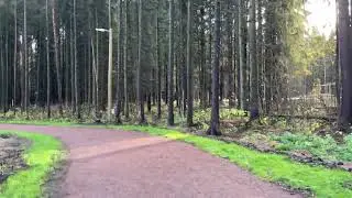 Сыктывкар Беличий парк начало
