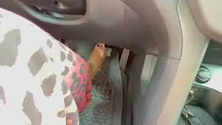 Pedal Pumping REVVING and Driving My SUV - Available on PATREON 