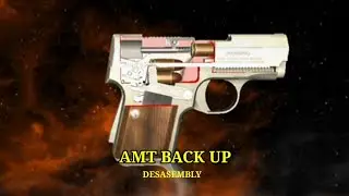 AMT BACK UP/DESASEMBLY