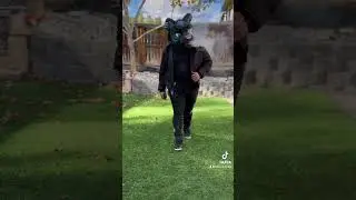 Big tiger 