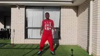 How to do the Tshwala dance challenge step by step with David