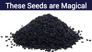 Nature's Tiny SEED That Heals Digestive Problems | Witness the Miracles in Life | Health Flavour