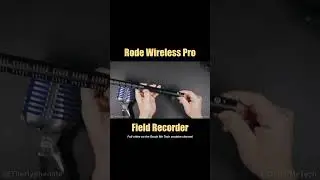 Rode Wireless Pro Transmitter as a 32 Bit Float Audio Field Recorder [ Shotgun Boom Mics & More ]