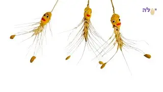 בובות חיטה | יצירה לשבועות עם ילדים