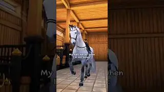 They be having roast battles without me 😔 || Star Stable Online