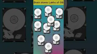 इतने GB स्टोर कर सकता है आपका दिमाग! Brain Storage Capacity___GB? #shorts