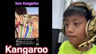Talk about Kangaroo | Cute animal from Australia | Tk Takanin