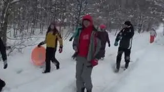 Бурый медведь играет с туристами.