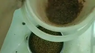 Давайте голубям это и линька пройдёт на ура!
