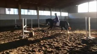 Golden Globe Video