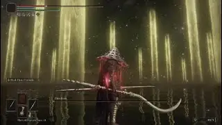 Pure Dexterity build vs Elden beast