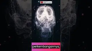KAMU TAU GAK AI ITU APA ??? Simak Penjelasannya #shorts #ai