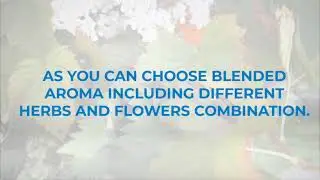 TCL Aroma Diffuser - A warm welcome, defined by scent.